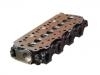 Cylinder Head:11039-44G01