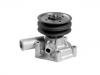水泵 Water Pump:410767400