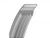 V-Ribbed Belt:4PK935