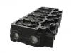 Cylinder Head:11039-69T61