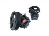 转向助力泵 Power Steering Pump:49100-50J40