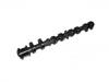 Camshaft:13502-28010