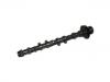 Camshaft:13501-75030