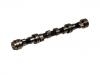 凸轮轴 Camshaft:13001-9C600