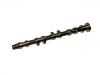凸轮轴 Camshaft:13020-73C00