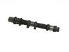 Camshaft:13034-AA101