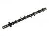 Camshaft:13502-30020